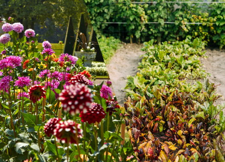 Uniwersalny w zastosowaniu
