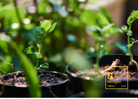 Skuteczne działanie
