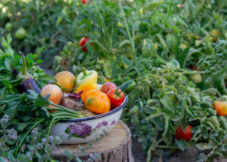 Skuteczny w działaniu