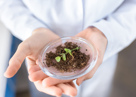 Poprawa jakości gleby