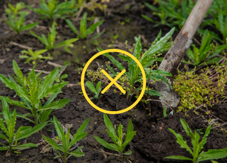 Wysoka jakość produktu
