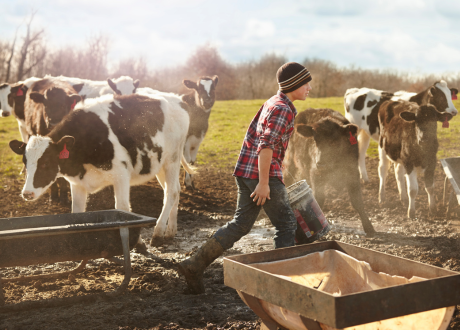 Naturalne pochodzenie