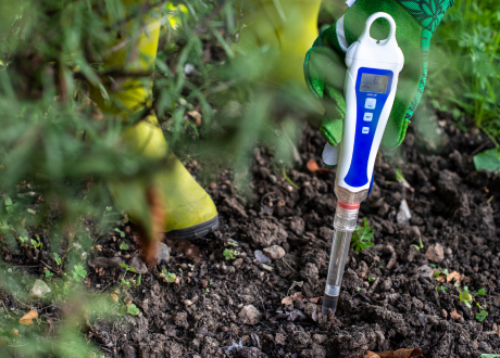 Poprawa struktury podłoża