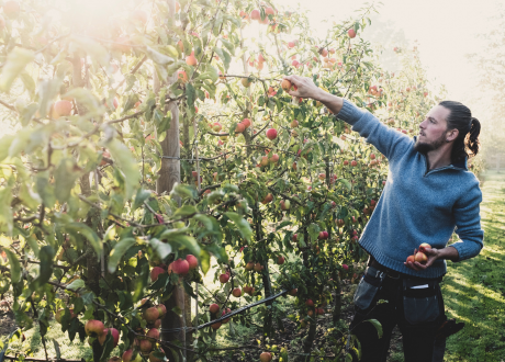 Wszechstronność zastosowania