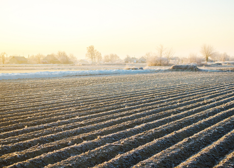 Całoroczne zastosowanie
