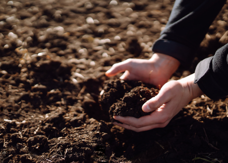 Poprawa jakości gleby
