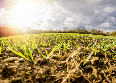 Wysoka jakość produktu
