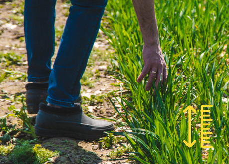 Możliwość regulowania pracy
