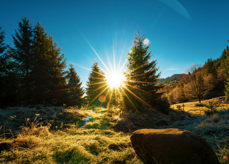 Trwałość i wytrzymałość