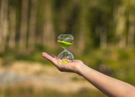 Prosta i wytrzymała konstrukcja
