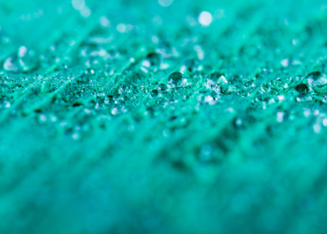 Odporność na warunki atmosferyczne
