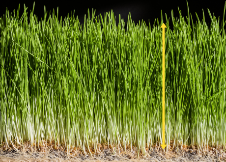 Regulacja wysokości koszenia
