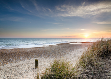 Uniwersalne zastosowanie