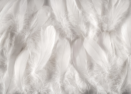 Komfort w chwilach relaksu
