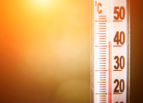 Odporność na warunki atmosferyczne
