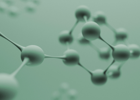 Wsparcie dla roślin