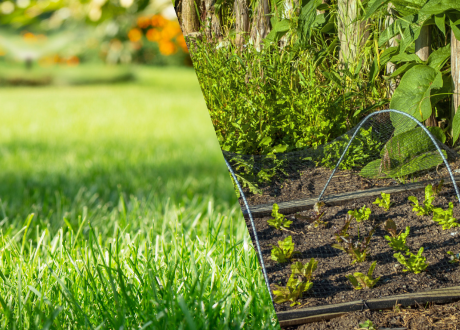 Wszechstronne użycie