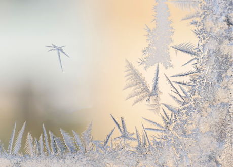 Odporność i trwałość
