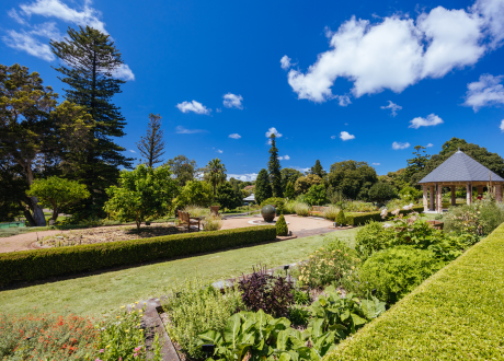 Duża powierzchnia zraszania
