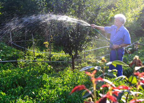 Wysoka funkcjonalność