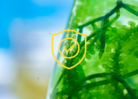 Odporność na czynniki pogodowe