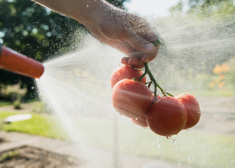 Trwałość i solidność wykonania