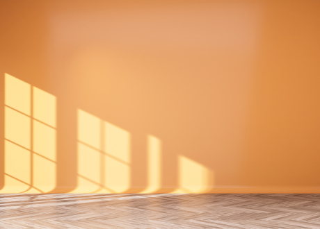 Odporność na światło