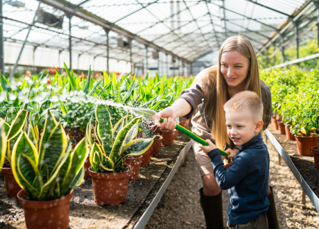 Swoboda działania w ogrodzie i na działce
