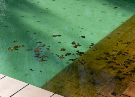 Szybkie czyszczenie basenu
