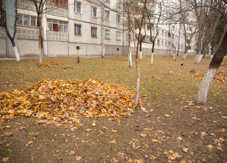 Sezonowe porządki bez wysiłku