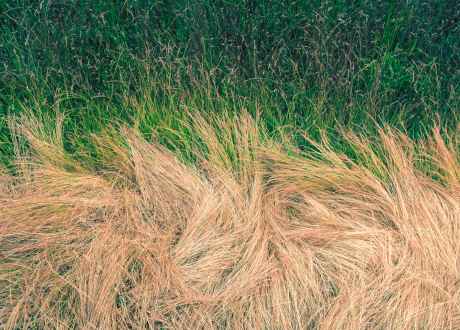 Silnik o mocy 1800 W 
