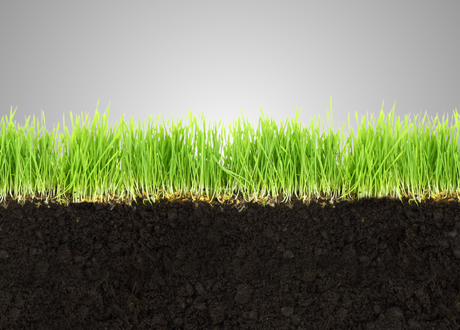 Do całorocznej pielęgnacji trawnika