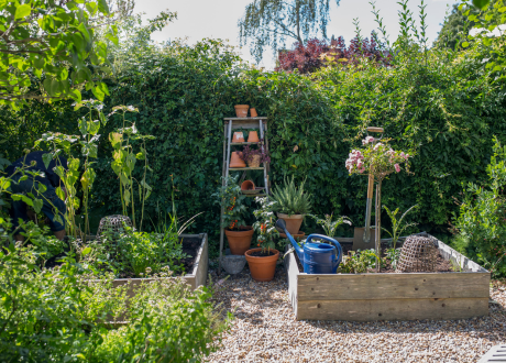 Porządek w ogrodzie