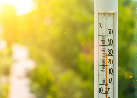 Wysoka jakość wykonania