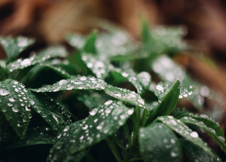 Wytrzymałość konstrukcji 
