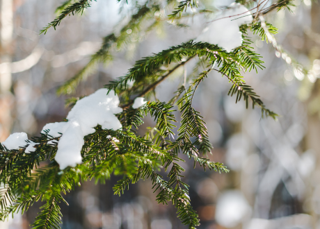 Bezpieczne użytkowanie