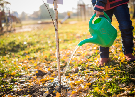 Skuteczne działanie 