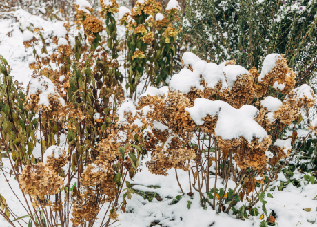 Bezpieczne użytkowanie