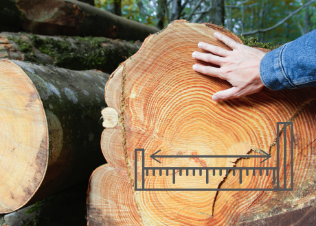 Wytrzymałe materiały