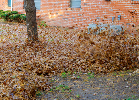Skuteczne działanie