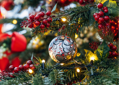 Łatwość montażu i użytkowania
