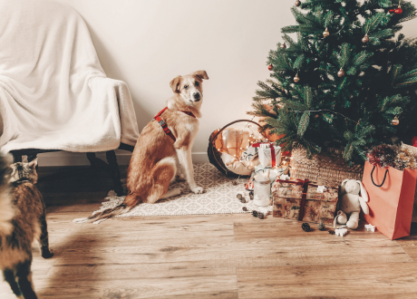 Bezpieczne użytkowanie