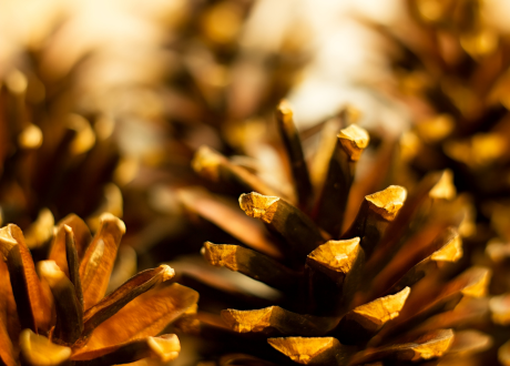 Styl boho w świątecznym wydaniu