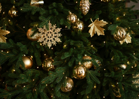 Różnorodne rozmiary
