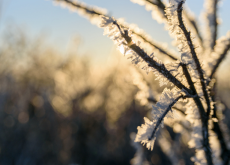 Bezpieczne użytkowanie
