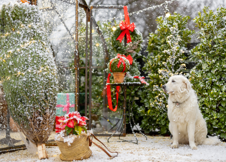 Praktyczna i bezpieczna dekoracja