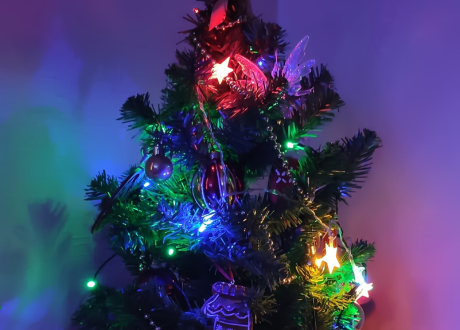 500 diod LED w kolorze multikolor