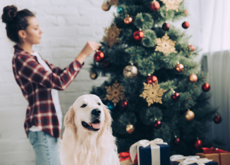 Stabilny stojak w zestawie 
