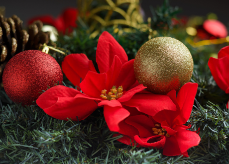 Funkcjonalność i wszechstronność
