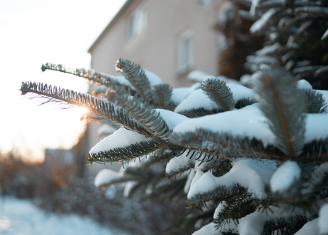 Wysoka jakość wykonania 